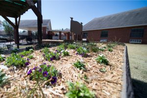 A garden outdoor area available at a skilled nursing facility
